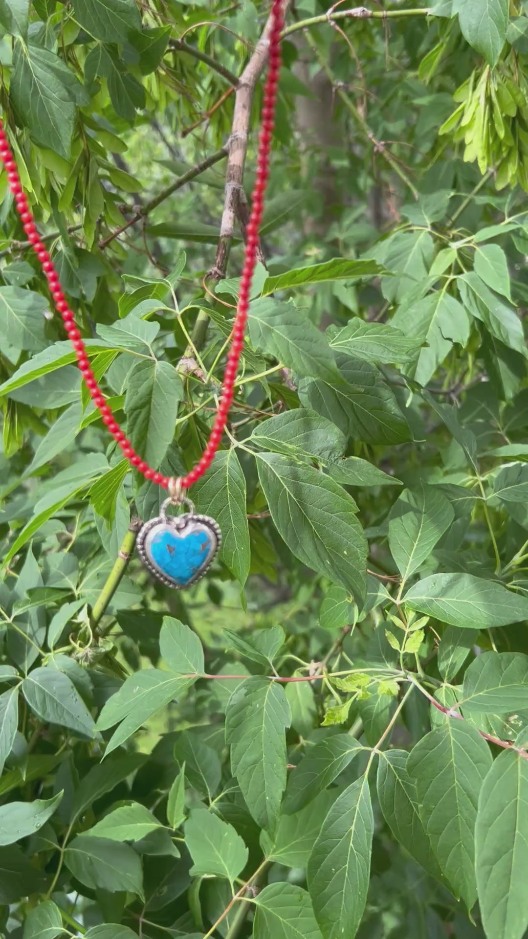 Wild Heart